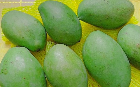 �P(gu��n)��â��������