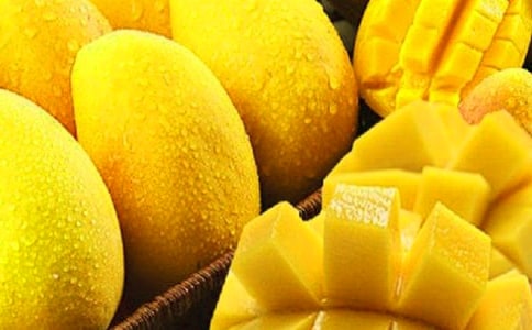 小學(xué)生作文:記寒假中的一件事--芒果的麻煩