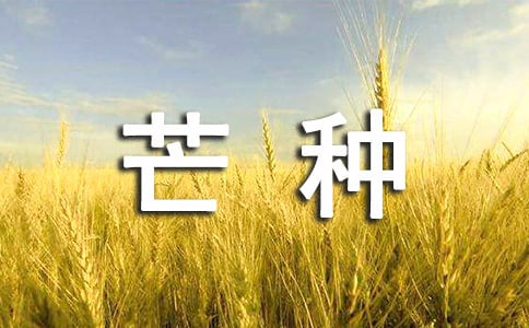 芒種節(jié)氣寄語(yǔ)【熱】