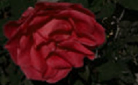 �P(gu��n)��õ�廨���^����ӛ3ƪ