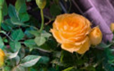 �_(k��i)����õ���ͯԒ���ģ�ͨ��19ƪ��