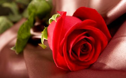 �P(gu��n)���茑õ�廨�ă�(y��u)������