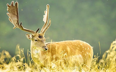 ���P(gu��n)÷��¹ͯԒ���ģ����x44ƪ��