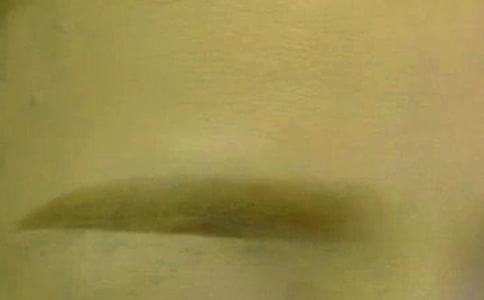 修眉毛_600字