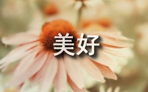 �����]�����õ�һ��С�W(xu��)����