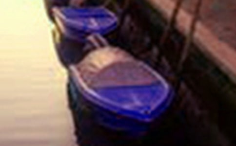 弦歌湖美景寫景的作文300字