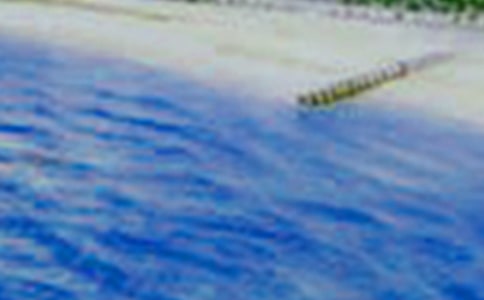 ����Ȼ����������