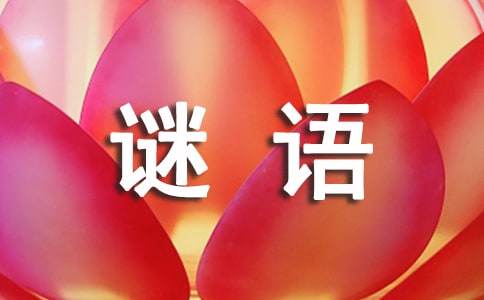 謎語(yǔ)及答案(精選500個(gè))