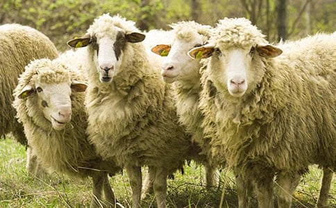 �꼾�d���_��ˎԡ�ί�����