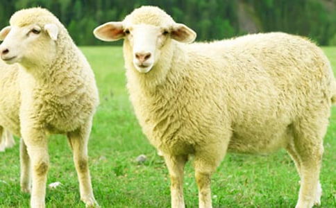 �\Մ�d����B(y��ng)�������g(sh��)