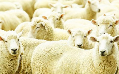 ����(y��u)��ľd���x��У����x15ƪ��