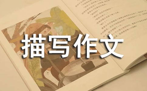 關(guān)于場面描寫作文