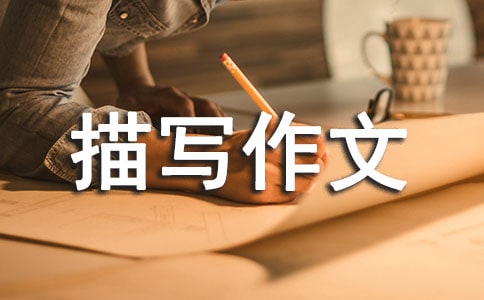 �����茑�����u(p��ng)�Z(y��)�����ˣ�