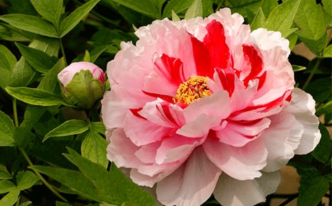 ��ĵ���@����