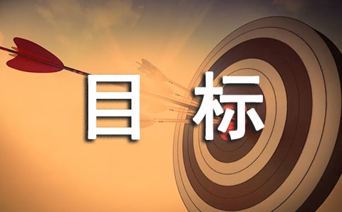 安全生產(chǎn)目標考核個人工作總結