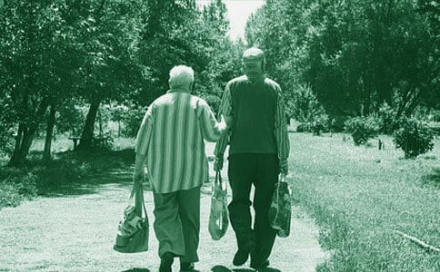 關于奶奶的愛作文300字集合八篇