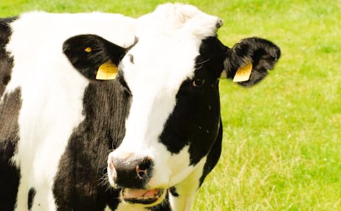 35����ţ���a(ch��n)�c�����ί���(b��o)��