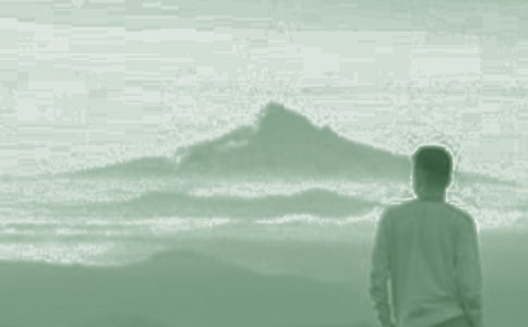 ���ӝh���ɷ���������������800�֣�ͨ��16ƪ��