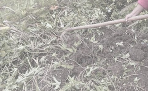 �w�(y��n)�r(n��ng)������