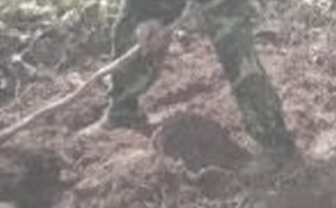 �ڼҸ��r(n��ng)����������(hu��)��(sh��)�`��(b��o)�棨ͨ��11ƪ��