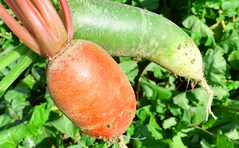 �r(n��ng)�Ҙ��L(f��ng)��