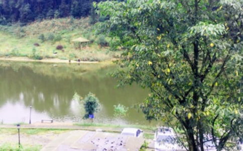 �P(gu��n)���r(n��ng)�Ҙ�������