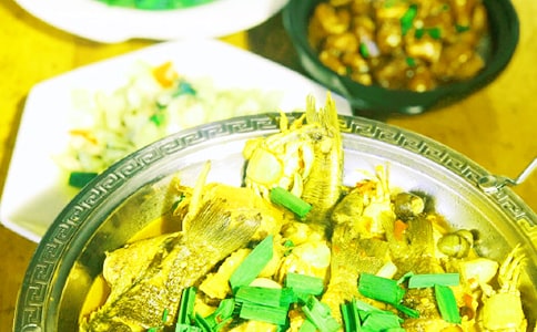 瓊海椰寨農(nóng)家樂 -資料