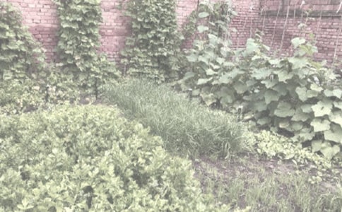 鄧州市農(nóng)作物秸稈綜合利用存在的問題及發(fā)展對策