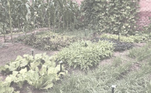 �r����N��ُ�N�f�h��