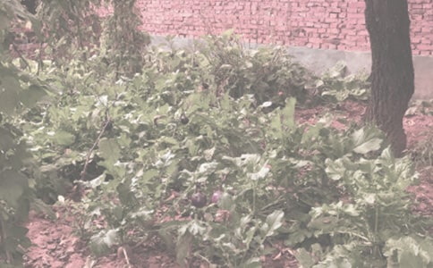 2010��ȫ��(gu��)�r(n��ng)�����ش��x(ch��ng)���l(f��)��څ��(sh��)