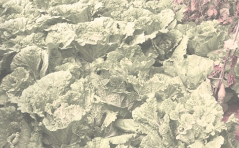 �r(n��ng)����N�Ӽӹ��f(xi��)�h��