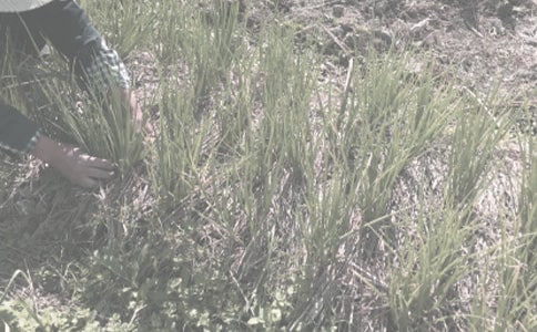 �����r(n��ng)���ﲡ�x���ĿƌW���δ�ʩ