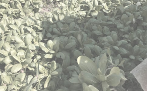 �D(zhu��n)�����r(n��ng)����:һ��(ch��ng)�]�������đ�(zh��n)��