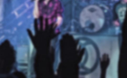 關(guān)于偶像的作文15篇