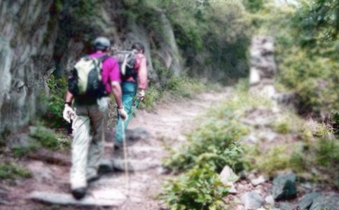 爬山虎的腳說(shuō)課稿