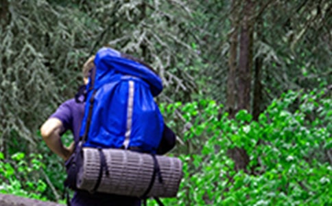 精選爬山游記作文合集九篇