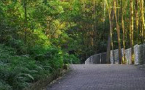 游記作文初二爬山