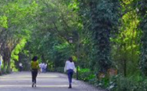 爬山游記高中作文