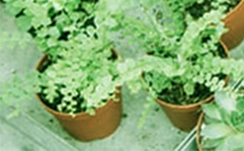 ���԰���С���Y(ji��) -���깤�����Y(ji��)