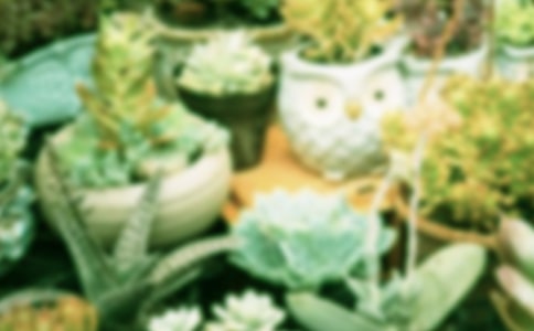 �����㡹���Ի��ܺܓ���