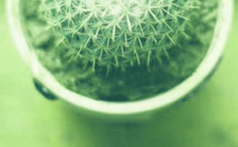 ���x��������400����ƪ