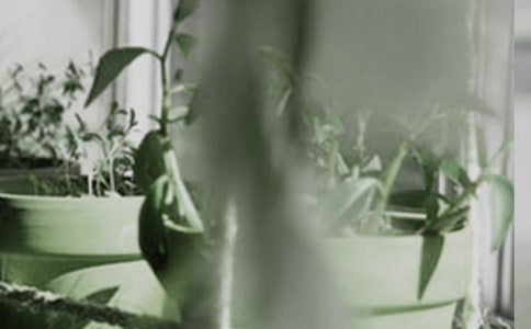 �P�����Ե�����