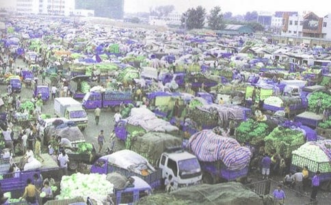 卷煙批發(fā)環(huán)節(jié)消費稅政策調(diào)整