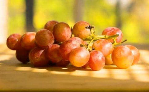 秋天的葡萄作文