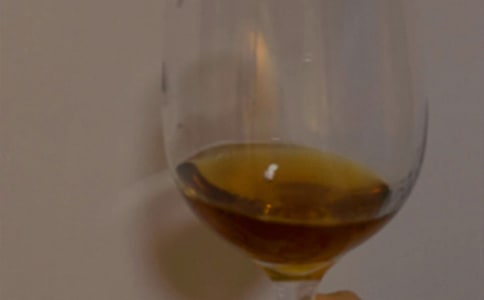 作文 學(xué)做葡萄酒