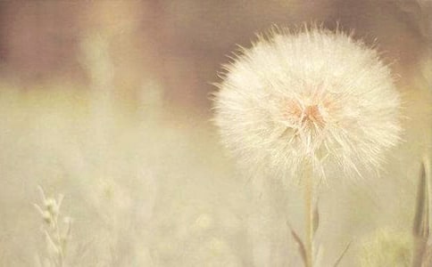 ����׃���ѹ�Ӣ�ķN������