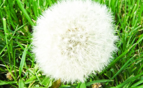 �w����ѹ�Ӣ�^�������