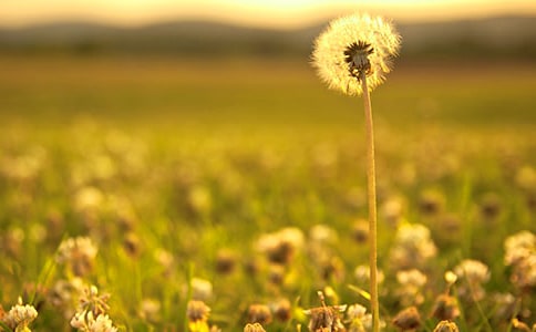 �а��������ѹ�Ӣ���̰�