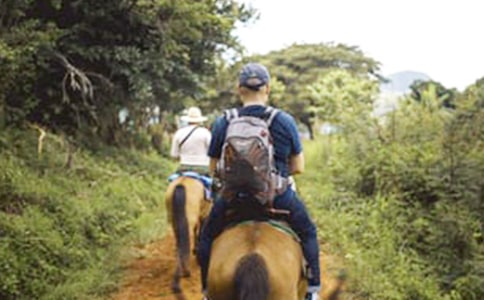 �P(gu��n)���T�R����