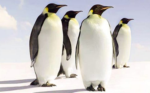 �P(gu��n)����ȥ���޵����Z������1000������